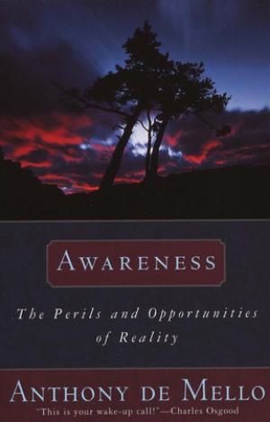 Awareness: The Perils and Opportunities of Reality Free PDF Download