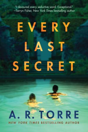 Every Last Secret by A.R. Torre Free PDF Download