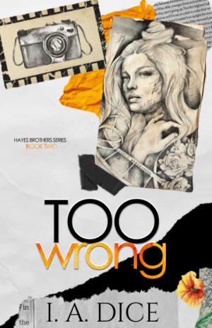 Too Wrong (Hayes Brothers #2) Free PDF Download