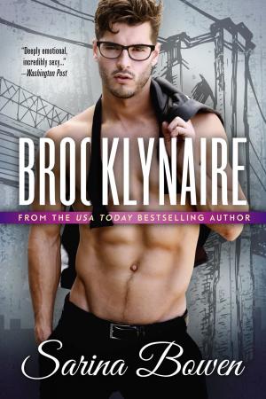 Brooklynaire (Brooklyn Bruisers #4) Free PDF Download