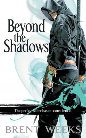 Beyond the Shadows #3 Free PDF Download
