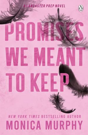 Promises We Meant To Keep Free PDF Download