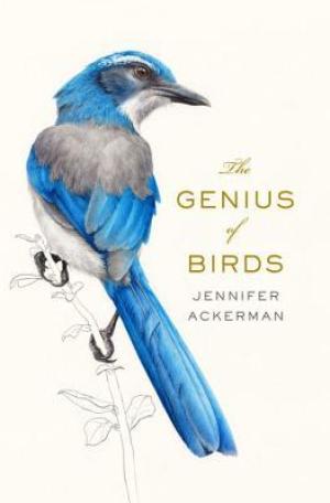 The Genius of Birds Free PDF Download