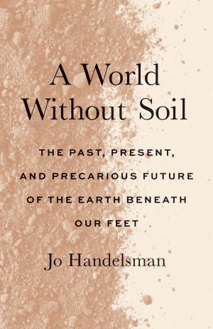 A World Without Soil Free PDF Download