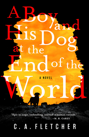 A Boy and His Dog at the End of the World Free PDF Download