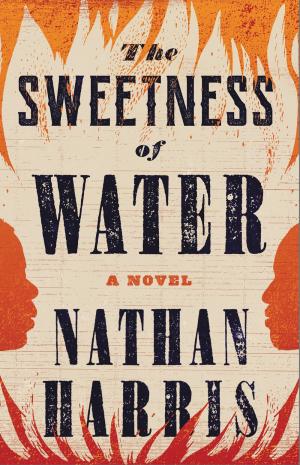 The Sweetness of Water Free PDF Download