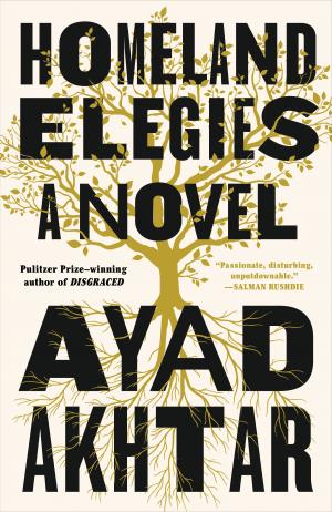 Homeland Elegies by Ayad Akhtar Free PDF Download