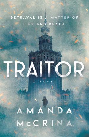 Traitor: A Novel of World War II Free PDF Download