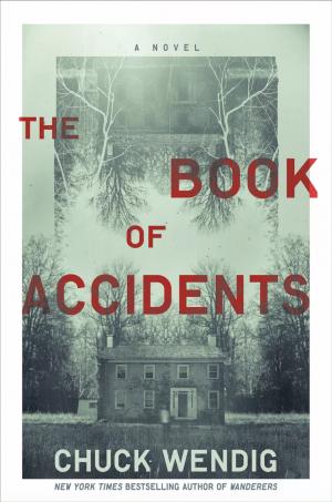 The Book of Accidents Free PDF Download