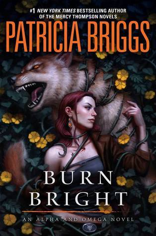 Burn Bright (Alpha & Omega #5) Free PDF Download