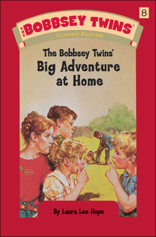 The Bobbsey Twins' Big Adventure at Home #8 Free PDF Download