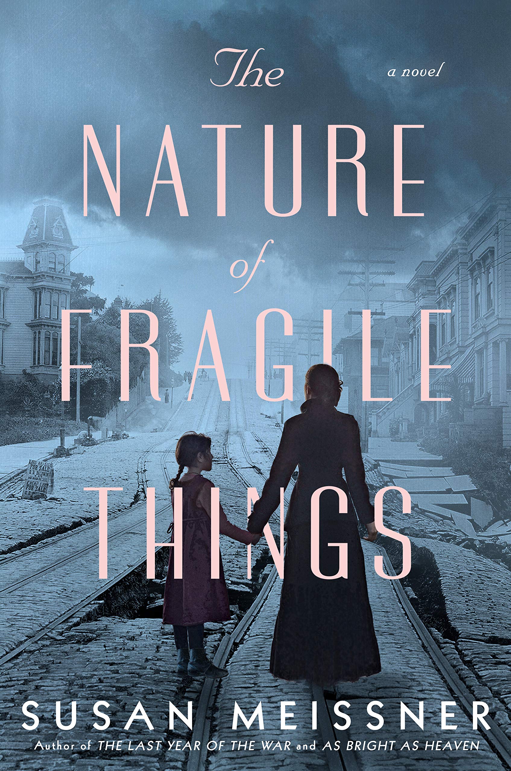 The Nature of Fragile Things Free PDF Download