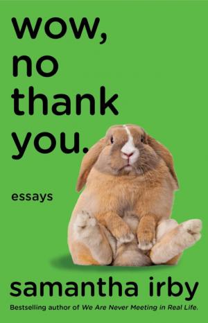 Wow, No Thank You.: Essays Free PDF Download