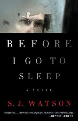 Before I Go to Sleep Free PDF Download