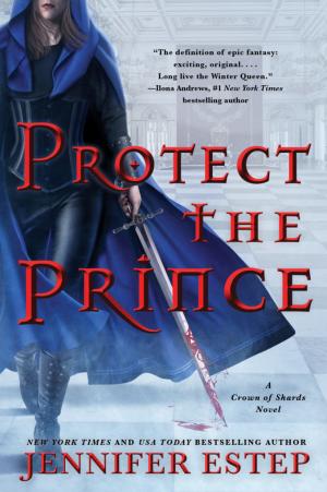 Protect the Prince (Crown of Shards #2) Free PDF Download