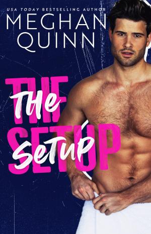 The Setup (The Brentwood Boys #6) Free PDF Download