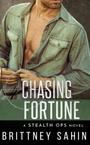 Chasing Fortune (Stealth Ops #8) Free PDF Download