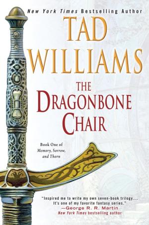 The Dragonbone Chair #1 Free PDF Download