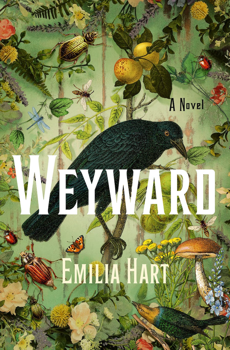 Weyward by Emilia Hart Free PDF Download