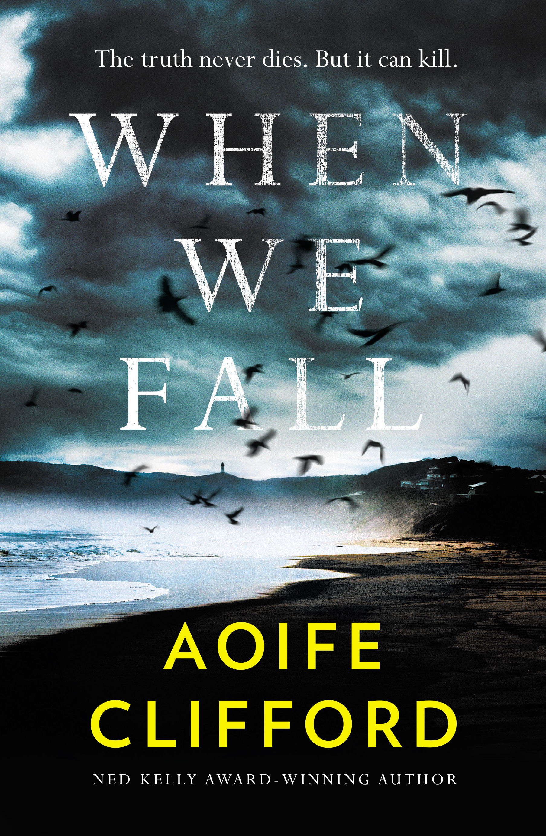 When We Fall by Aoife Clifford Free PDF Download