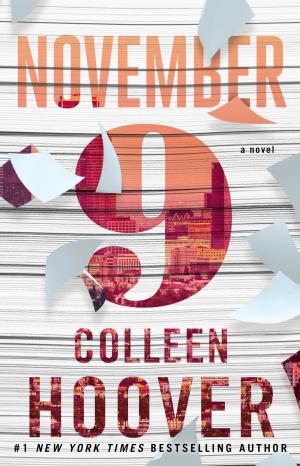 November 9 by Colleen Hoover Free PDF Download