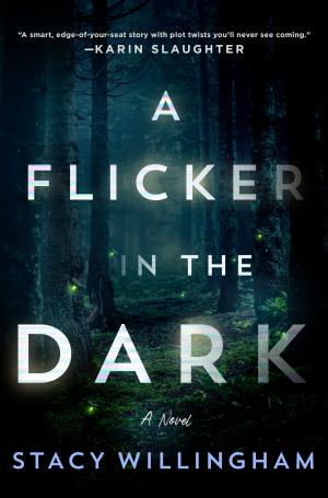 A Flicker in the Dark Free PDF Download