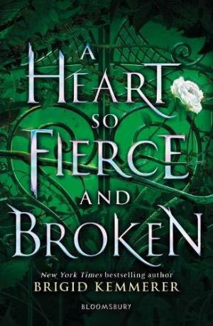 A Heart So Fierce and Broken Free PDF Download