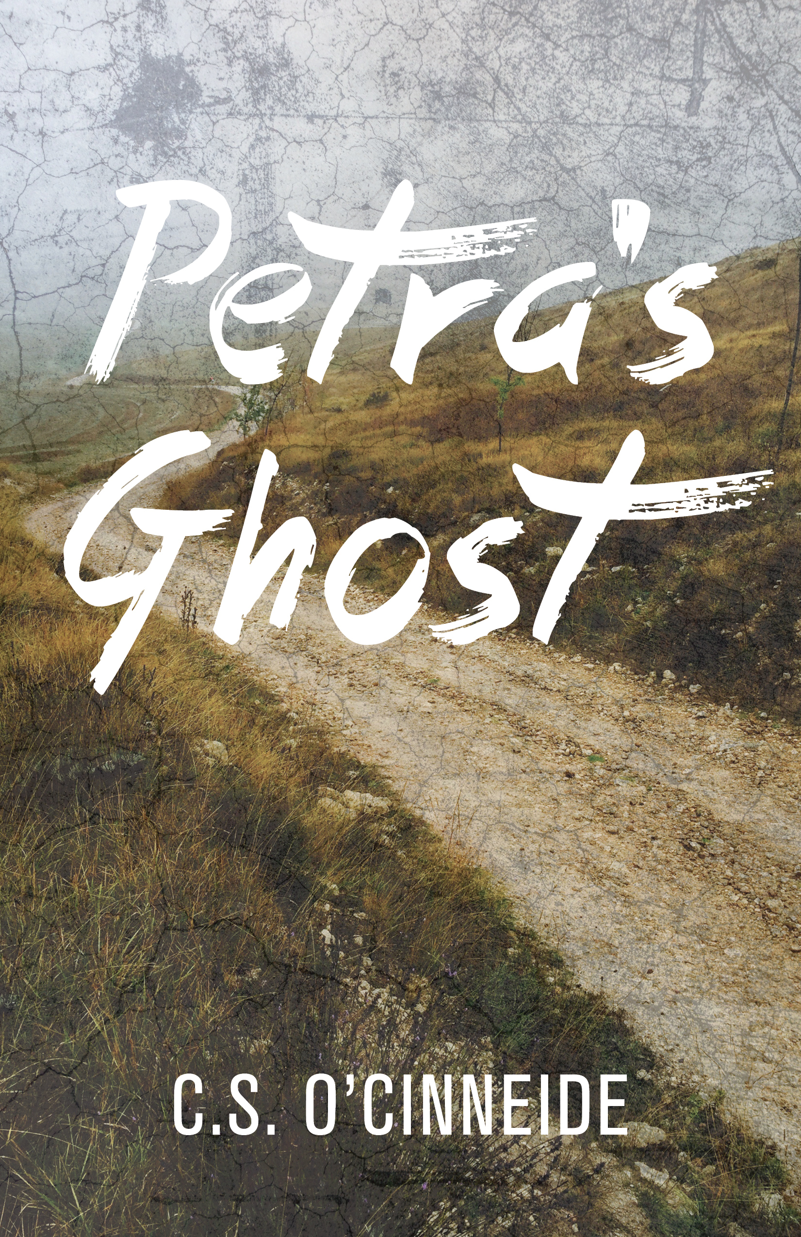 Petra's Ghost Free PDF Download