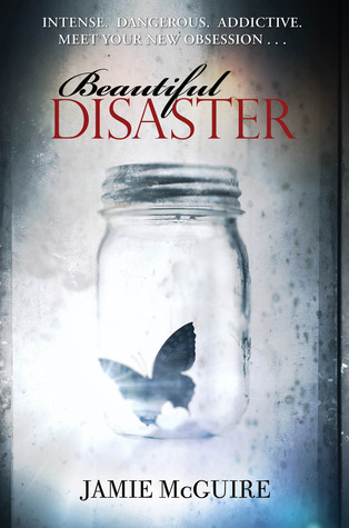 Beautiful Disaster Free PDF Download