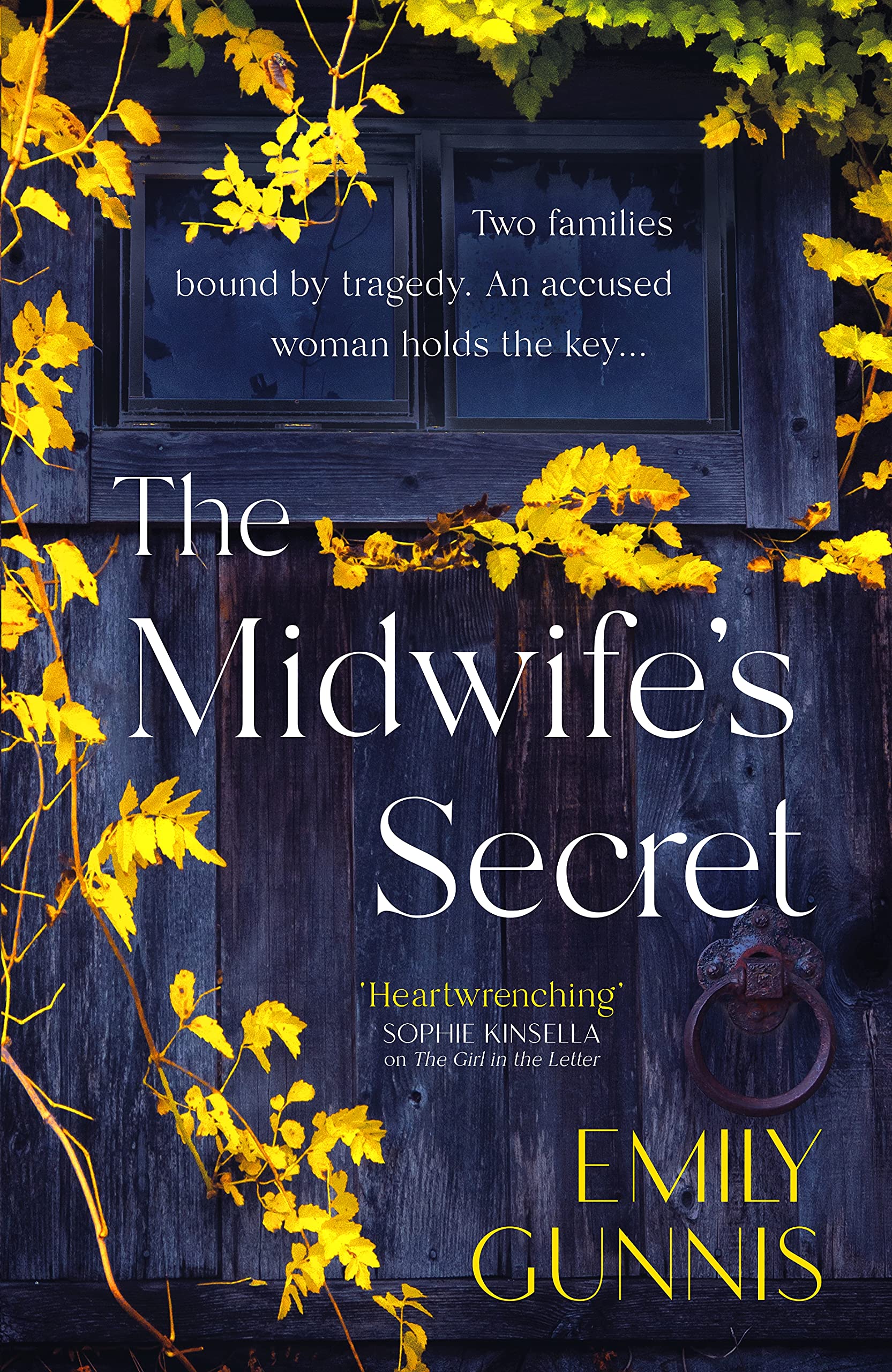 The Midwife's Secret Free PDF Download