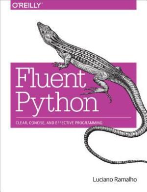 Fluent Python PDF Download