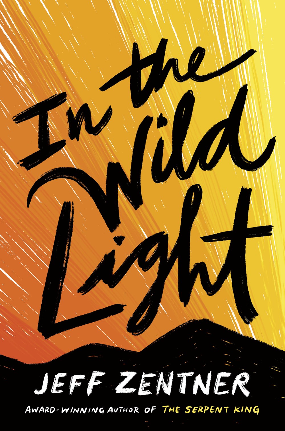 In the Wild Light Free PDF Download