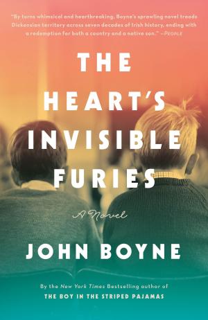 The Heart's Invisible Furies Free PDF Download