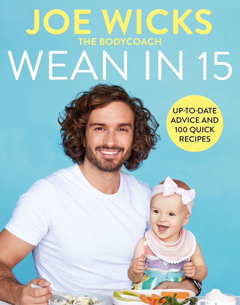 Wean in 15: Weaning Advice and 100 Quick Recipes Free PDF Download