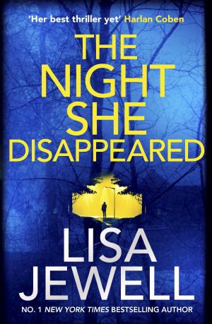 The Night She Disappeared Free PDF Download