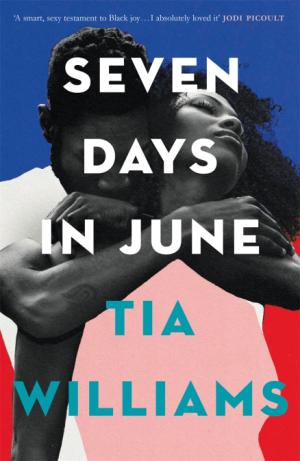 Seven Days in June Free PDF Download