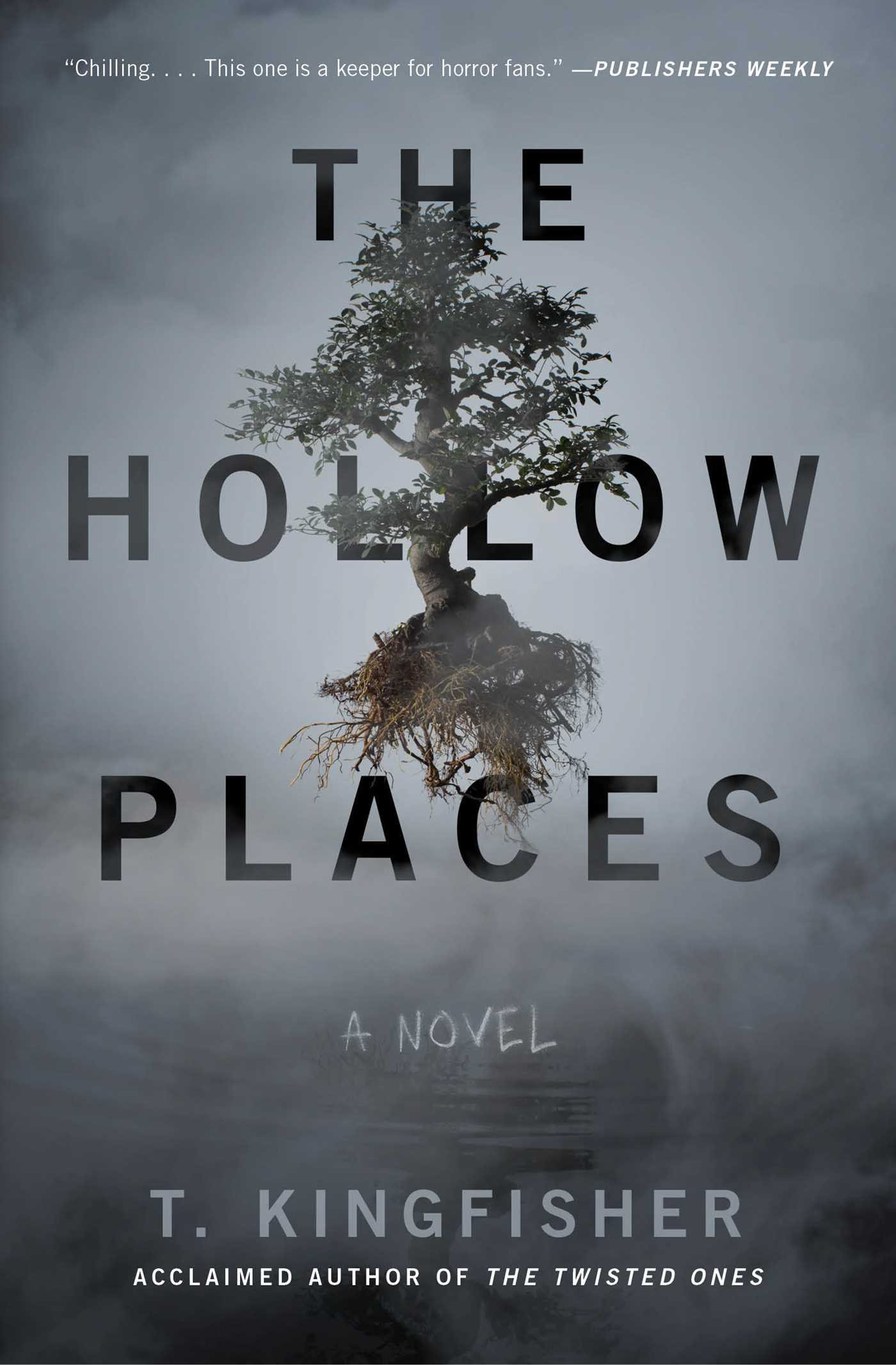 The Hollow Places Free PDF Download