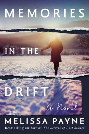 Memories in the Drift Free PDF Download