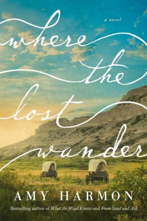 Where the Lost Wander Free PDF Download