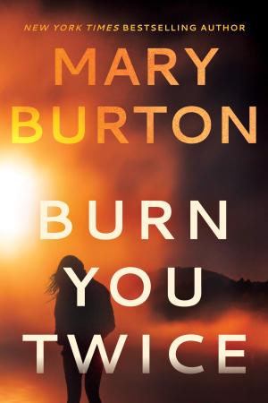 Burn You Twice Free PDF Download