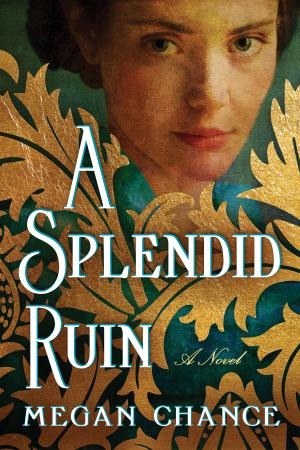 A Splendid Ruin Free PDF Download