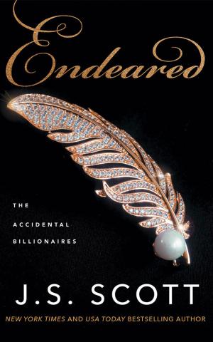 Endeared (The Accidental Billionaires #5) Free PDF Download