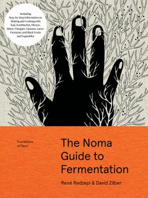 The Noma Guide to Fermentation Free PDF Download