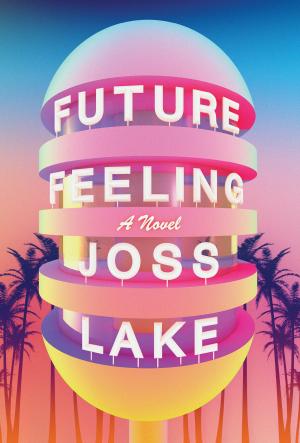 Future Feeling by Joss Lake Free PDF Download