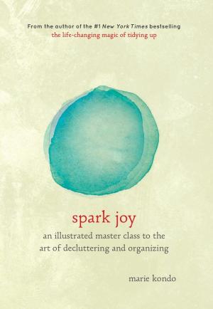 Spark Joy (Magic Cleaning #2) Free PDF Download