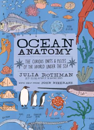 Ocean Anatomy by Julia Rothman Free PDF Download