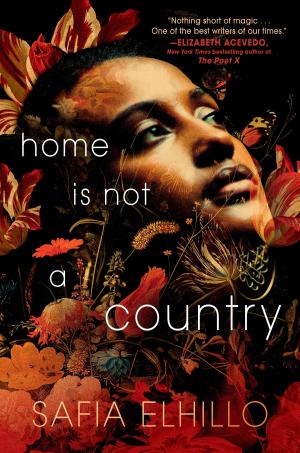 Home Is Not a Country Free Download