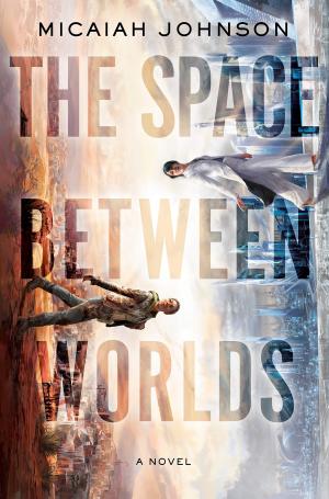 The Space Between Worlds #1 Free Download