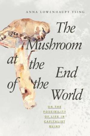 The Mushroom at the End of the World #4 Free PDF Download