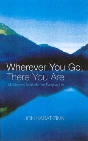 Wherever You Go, There You are Free PDF Download